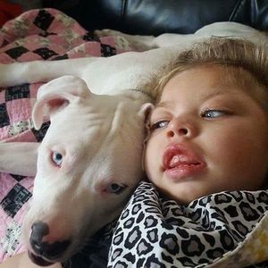 Meet your Posher, Bryan